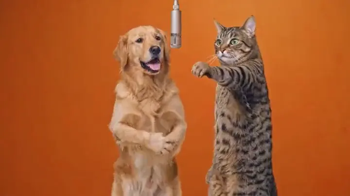 Paws at the microphone